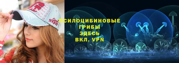 шишки Гусев