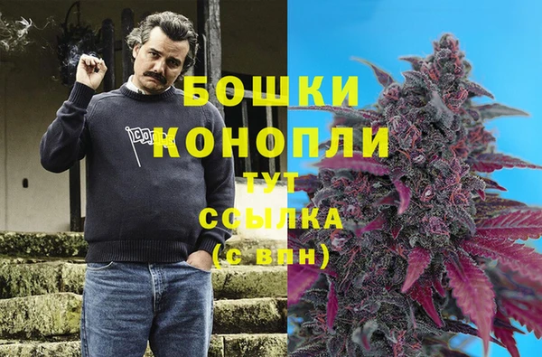 дмт Гусиноозёрск
