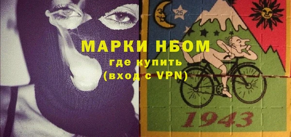 шишки Гусев