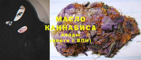 шишки Гусев