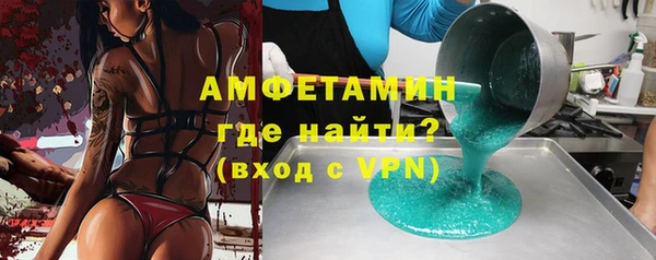 шишки Гусев