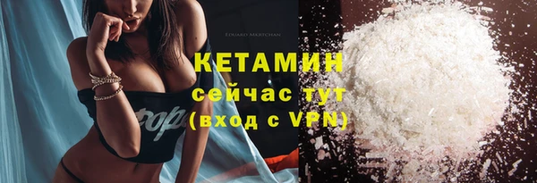 шишки Гусев