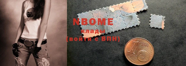 шишки Гусев